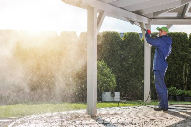 Best Dumpster Area Cleaning  in Elk River, MN