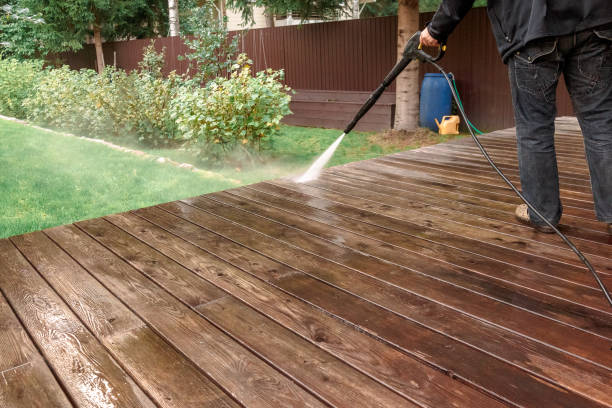 Best Roof Washing  in Elk River, MN