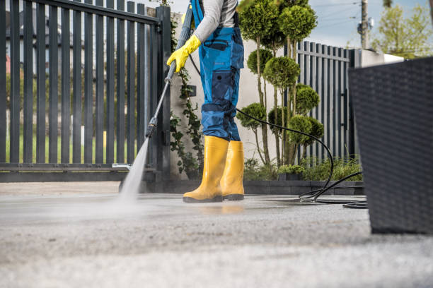 Best Building Exterior Washing  in Elk River, MN